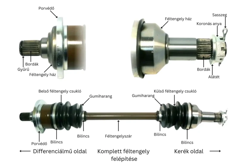 Féltengely felépítése
